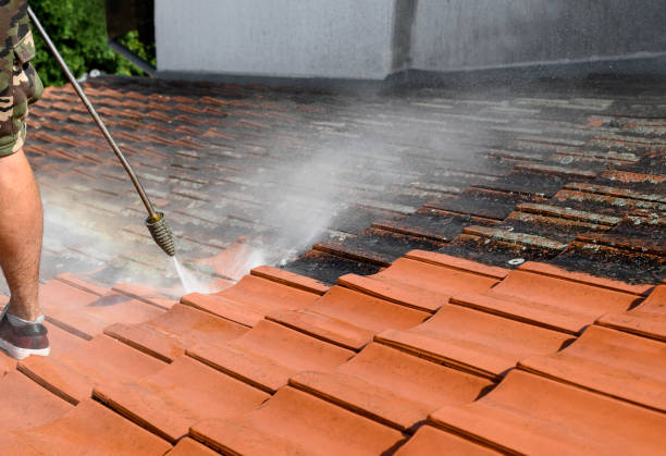 Best Pressure Washing Brick  in Haines City, FL