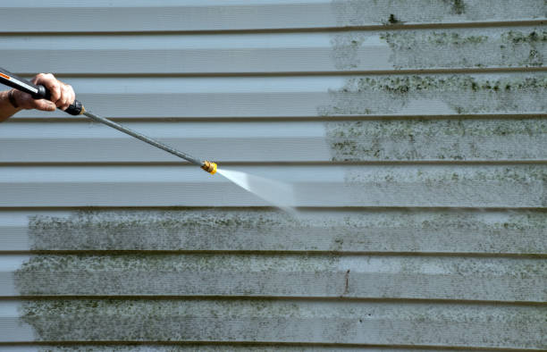 Best Roof Power Washing Services  in Haines City, FL